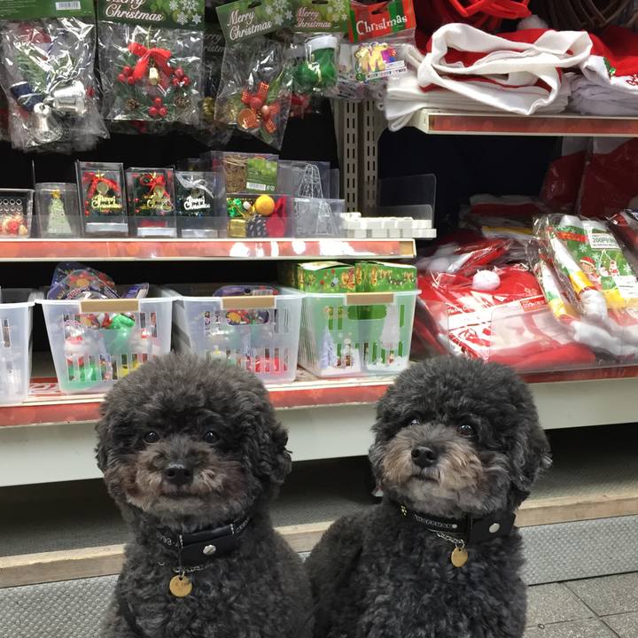 D2b0c5ad 4159 4ad3 933c c493cb977aa4