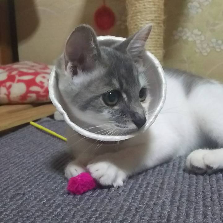 D2b0e615 8cb7 4f10 8b3d c9e6a04fe534