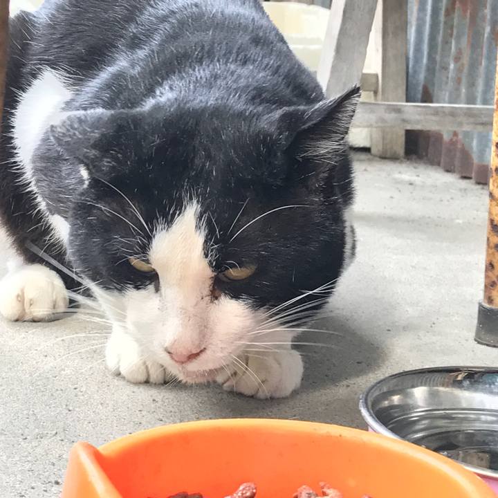 D2b0e9fe 20db 43d4 9526 2582a3988151