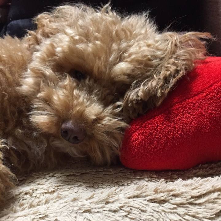 D2b11883 b021 4d0e 99a1 dbd15df6cd01