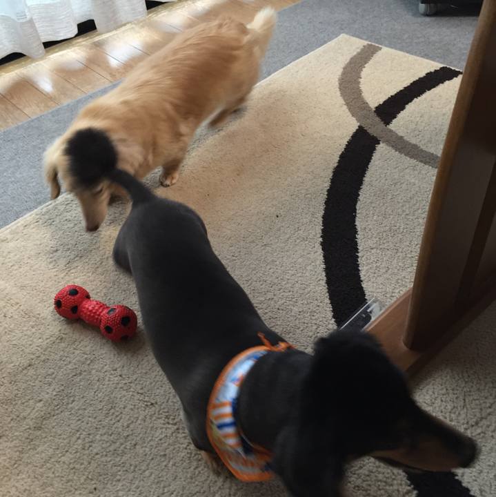 D2b1c206 c69f 4788 a1d8 608fd40d04d0