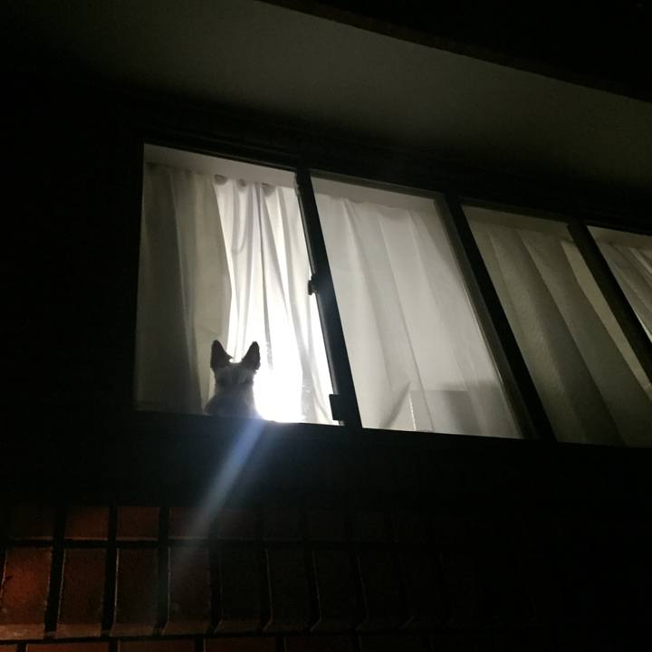 D2b1d079 833a 4630 bd7b 2365af0ed9cb