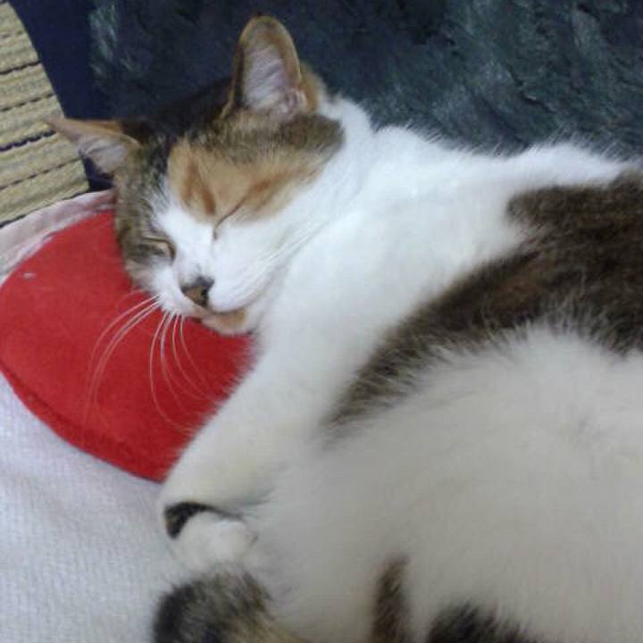 D2b1d7d6 e3de 4885 aec8 a4bdf09bf6c2