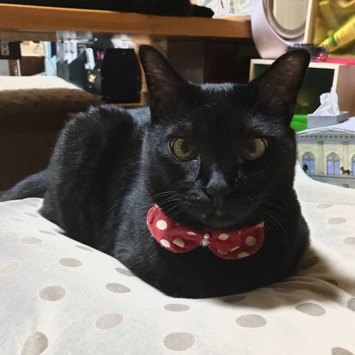 D2b2f54b 0a9c 46fd a01c 95ceb1117ac1