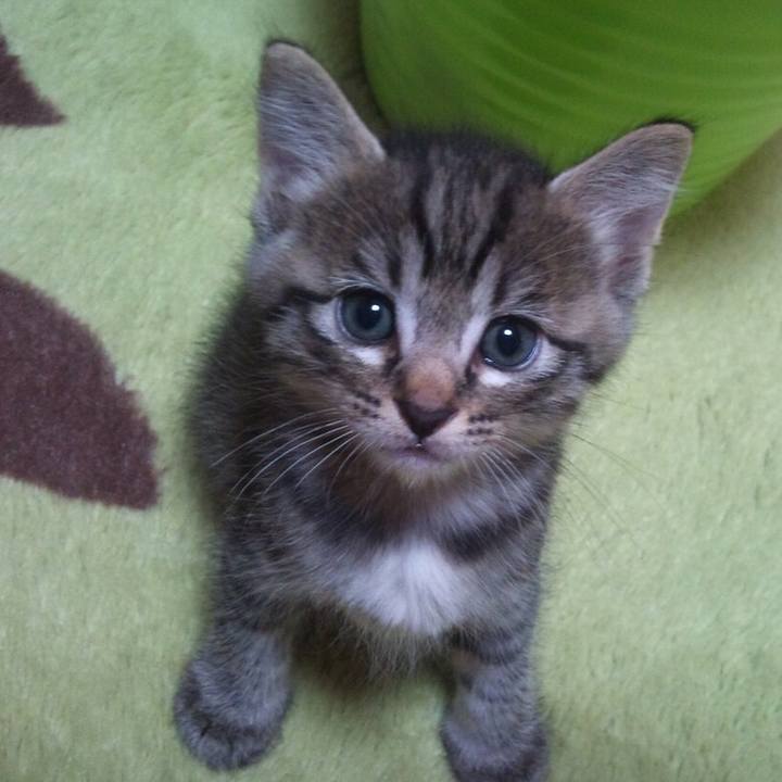 D2b36792 2051 4249 af64 15615cc9eb29