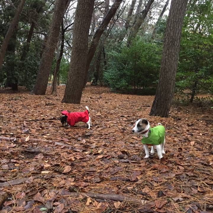 D2b39ff6 f5b7 4d7f bc57 f18965136156