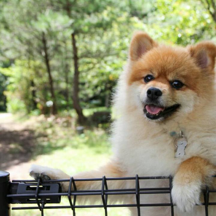 D2b4fbf0 f9b9 42db bcbe 17bbb53a405a