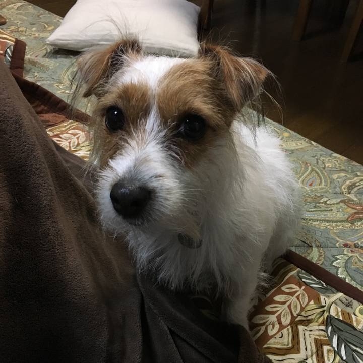 D2b5d4bc 9e1b 4890 8026 a037d9c6d7c9