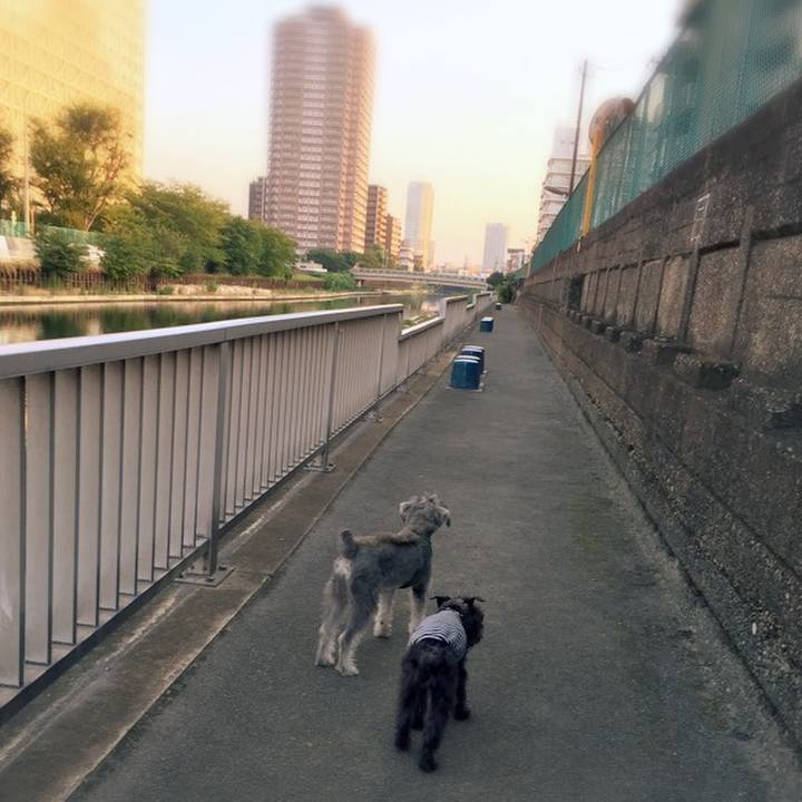 D2b640f3 6038 4685 9fe2 4013515c56fc