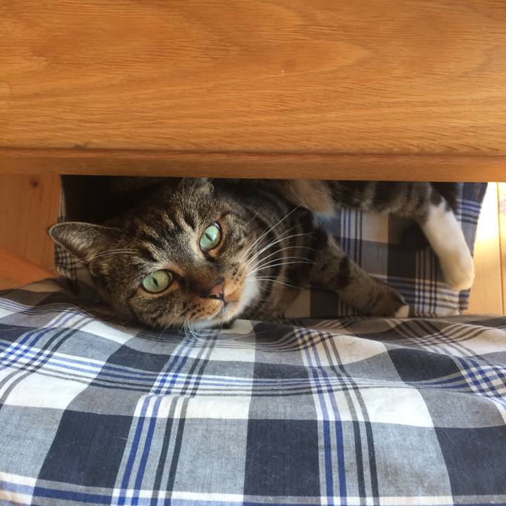 D2b6fd2f 2a11 49ec a33b 29a65bb5439b