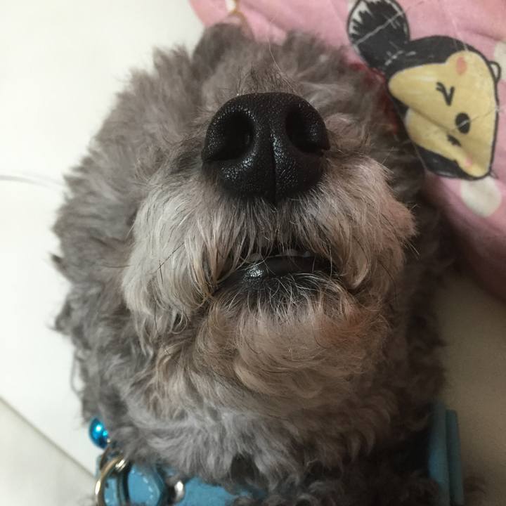 D2b7b0c1 7829 4d5a 87ea 4ce26e5333a4