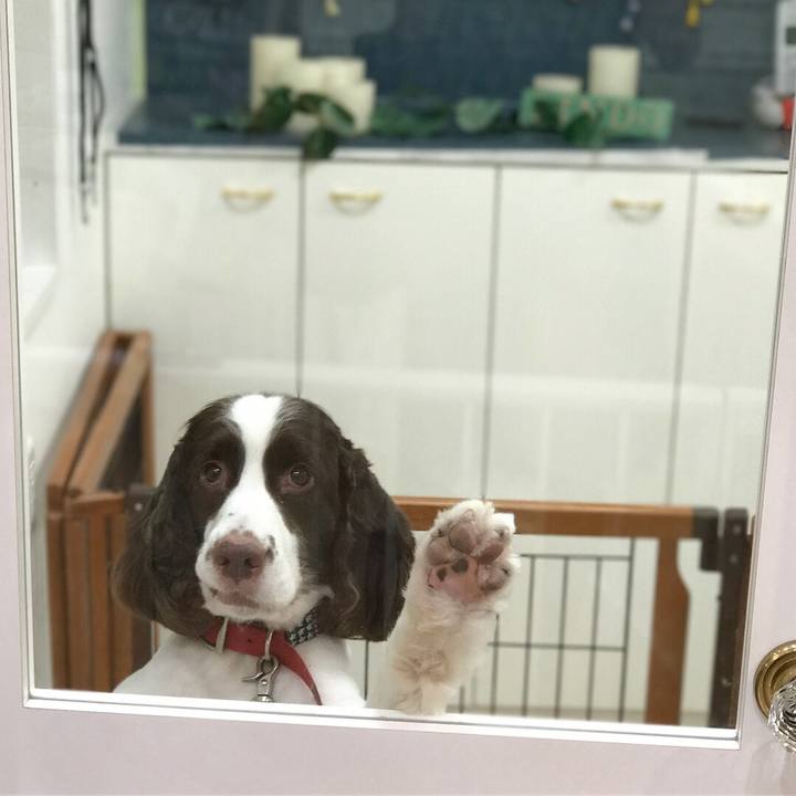 D2b7d4d7 3c52 4341 827f c4f8f6a04e72