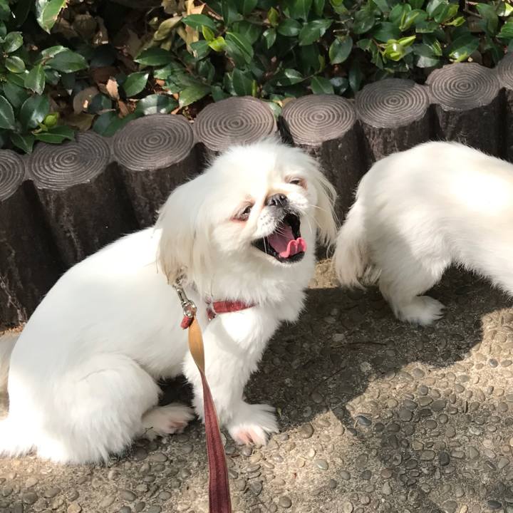 D2b8bc7a 6493 4f82 8d42 7fc3444c5d52