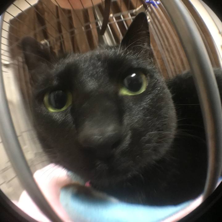 D2b97e3e dfa2 49b9 a9bc 969104b62d9d