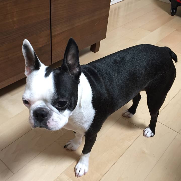 D2b9ad7d ed33 45a0 a258 15df0d3e8140