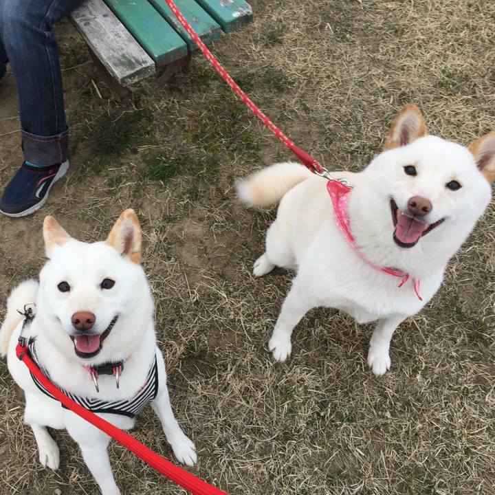 D2ba40b4 74ab 4b92 89b7 02aee6ebc595