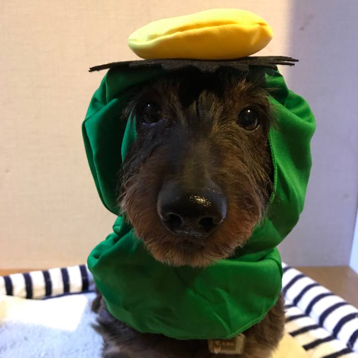 D2ba7602 b741 4fda 8812 11e3bcbad094