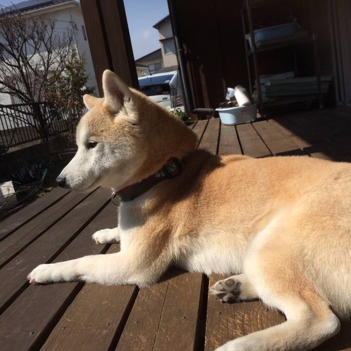 D2ba7b08 d4e6 4768 a03b a5d6fdb13c0c