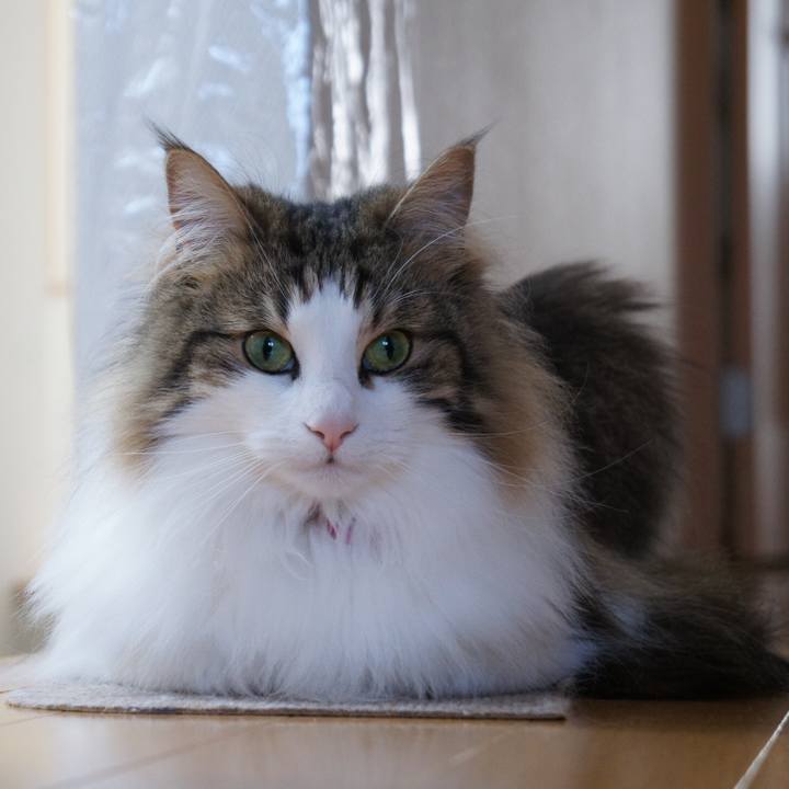 D2bb6f14 3b64 4306 bb99 c5c93f4ccb1e