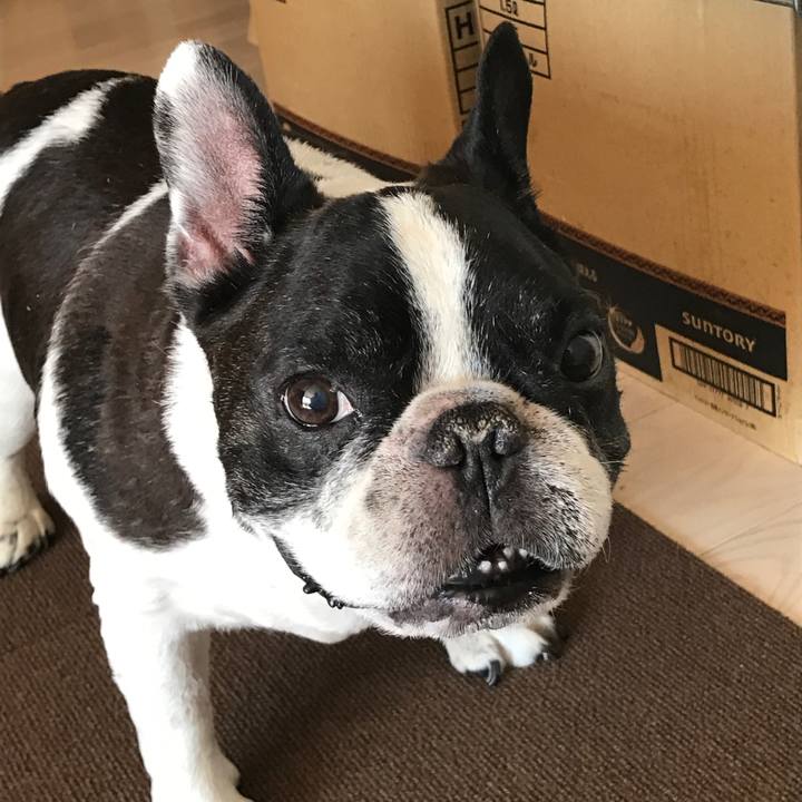 D2bb7be3 c8de 4c78 8b8d aa0381a552a4