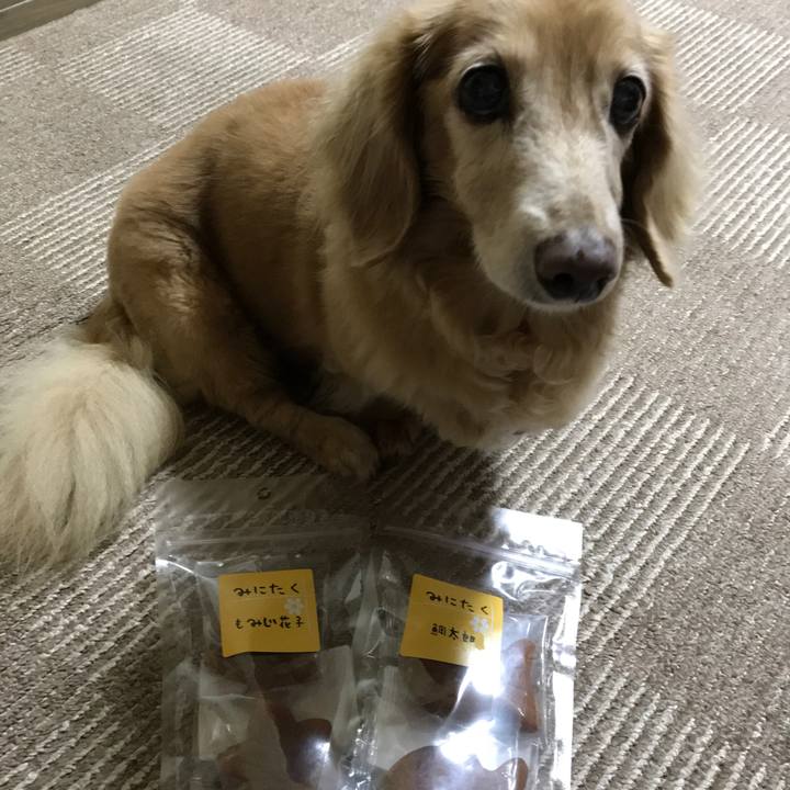 D2bb9e0a 5644 4009 b96b 2a5f52d5cd07