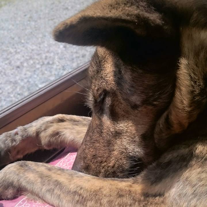 D2bbb1c1 e20e 494a 98aa fc7b88d9e887