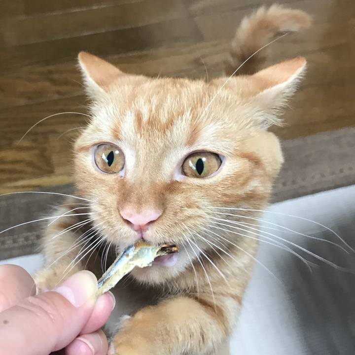 D2bc1bed 7828 4733 94fb a60e6917e1ef