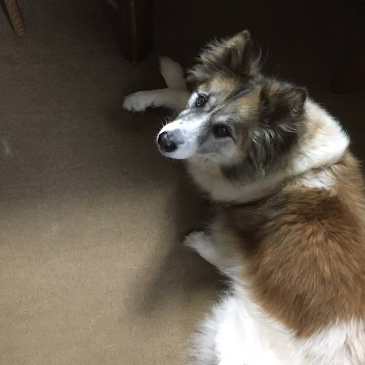 D2bc3c76 40ca 4d4a 8bd2 5a14061f0ce9