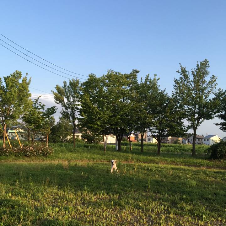 D2bd22cc 5f99 44a8 9105 fd5353d726d1