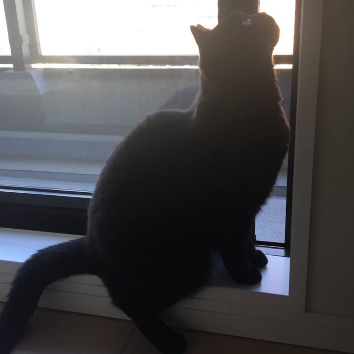 D2bd5c57 3c50 496a 9850 33ba8a42cb35