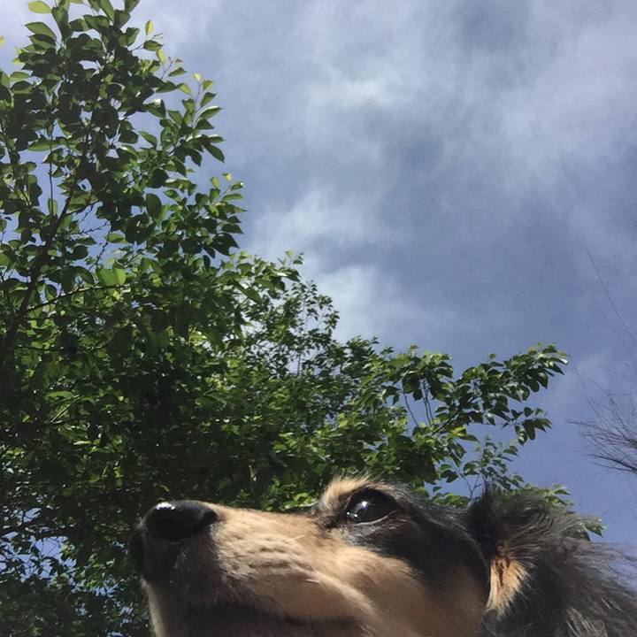 D2be5969 d9ed 4e14 a037 261e1a93f961