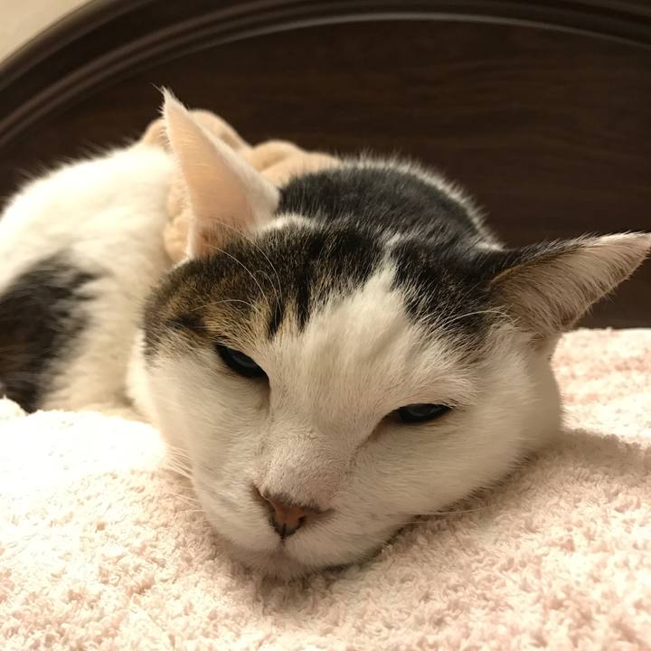 D2bfd648 aa7f 47ec a506 c4e54910c920