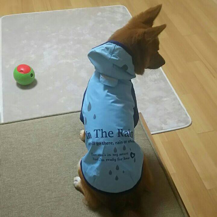 D2c00449 72b6 43ab beaf e825cd334534