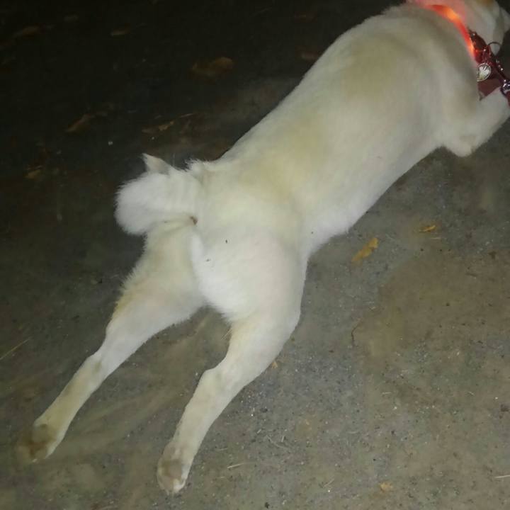 D2c08000 1342 45a0 bfa1 ee0d94fe356c