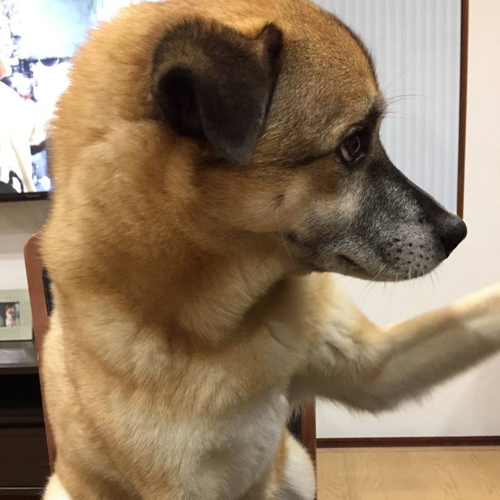 D2c0b02f a42f 44e5 ad25 4a8cfee9e6e2