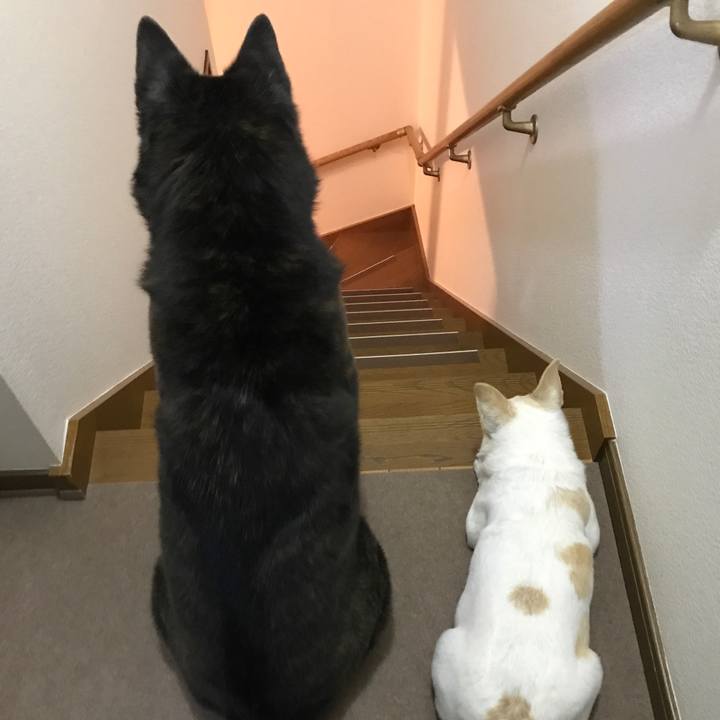 D2c0b9b9 c67a 455e a990 a9411aa2d794