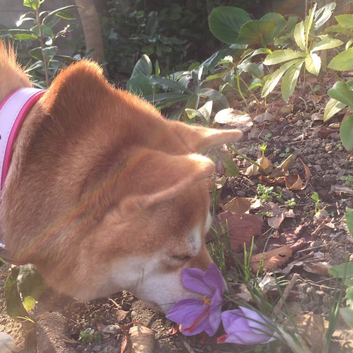 D2c141ac 6eef 4f19 a6bf 272725df4d5d