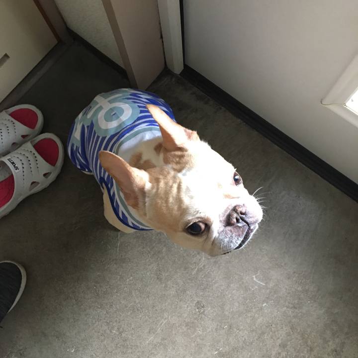 D2c25ba9 9097 4412 8330 dec1696d42b8