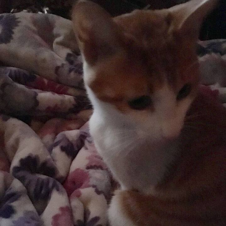 D2c37b3a 493d 447c 973f 71e054dc0bca