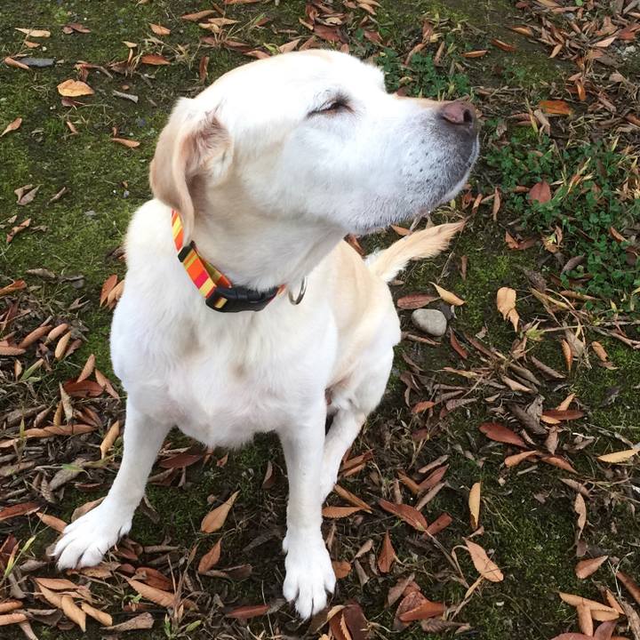 D2c46cbb 4d4b 49d1 b938 7d5ed56c9825