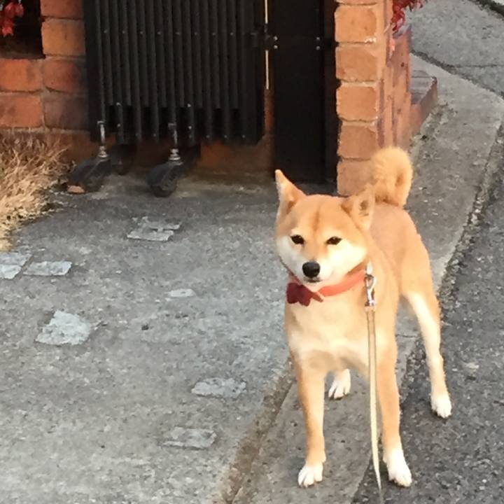 D2c52bce 6612 4a06 a08c cab75be200e5