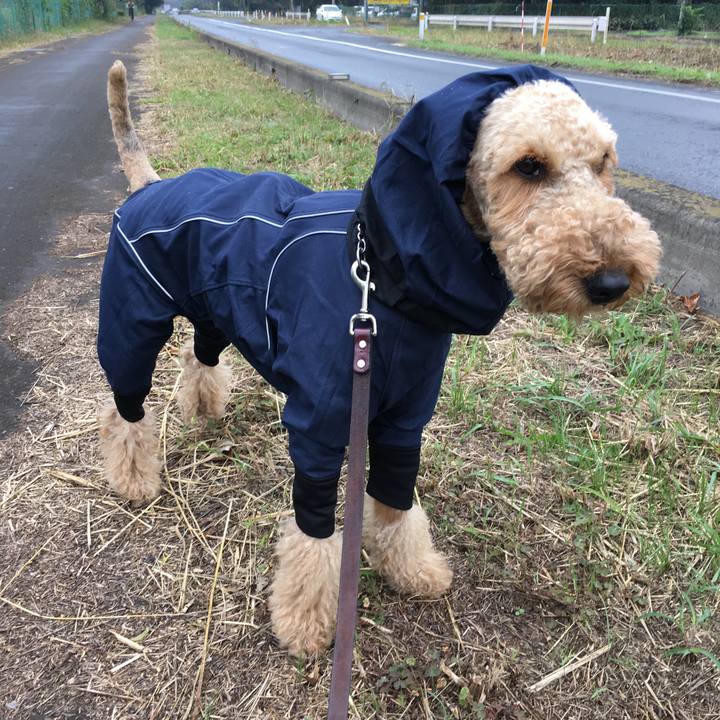 D2c61277 4018 4cd0 a768 d7df4ef6fb05