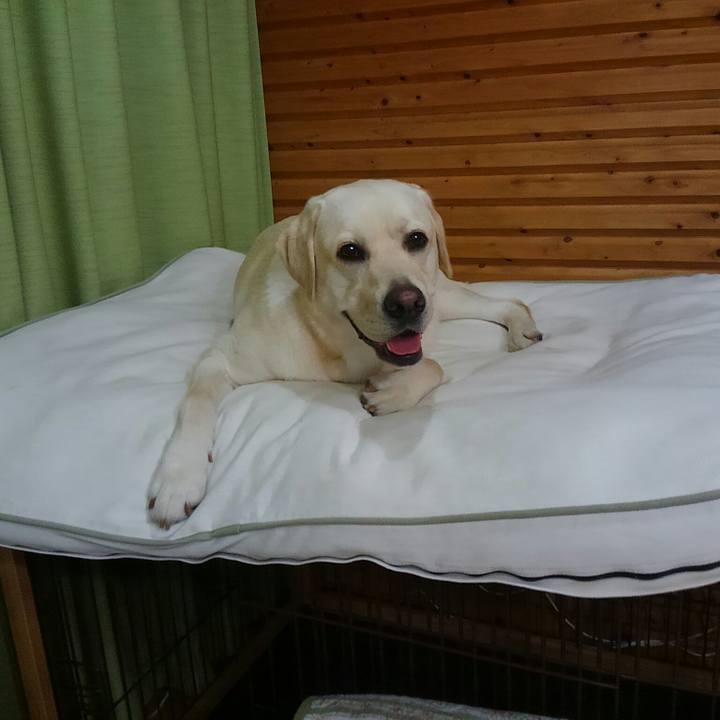 D2c632f2 f297 4679 9b3a 9105810b5749