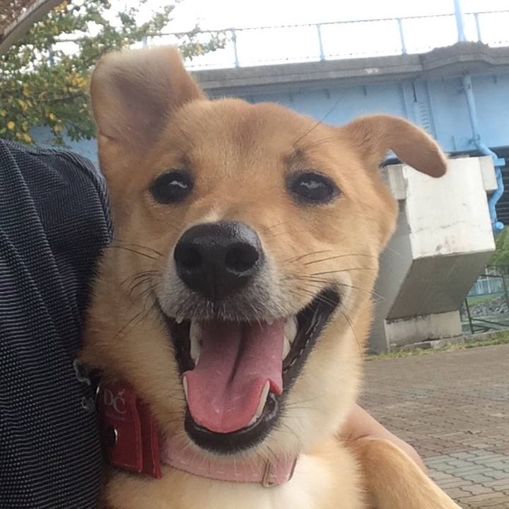 D2c64043 3ea2 4e23 a75d 62c7a0a25249