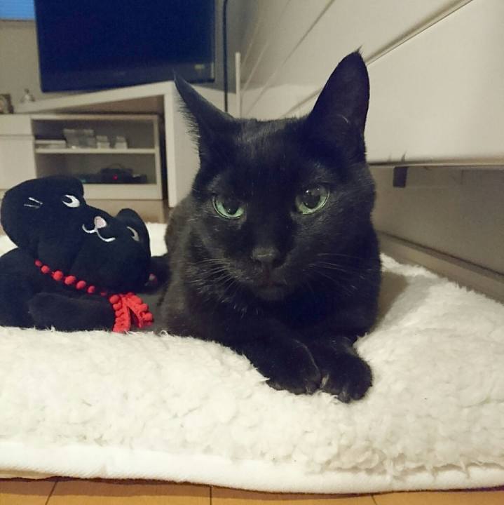 D2c673b7 0356 4c56 9a38 fa58318f7a26