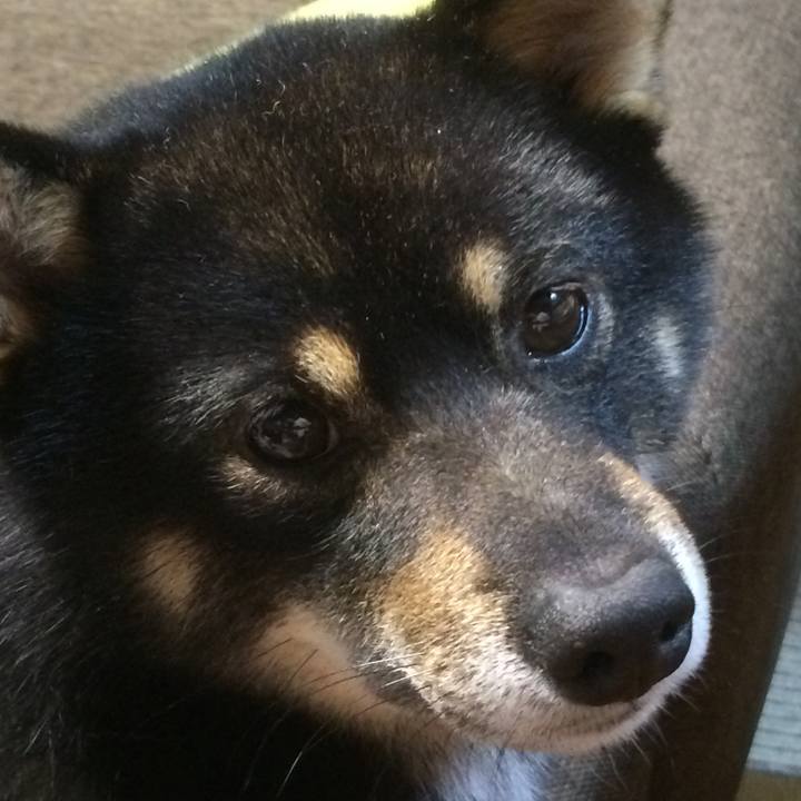 D2c6a5e9 ae70 48d1 a678 ca201d41cf95