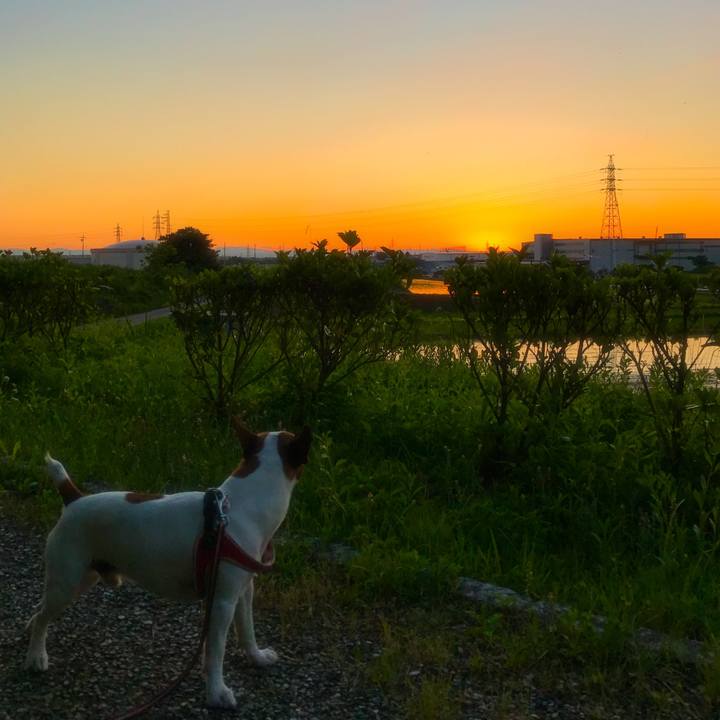 D2c6d16a d64d 4437 9f79 d0c9326c9815