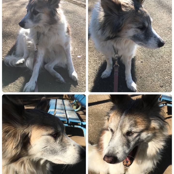 D2c7f035 3ef1 45be a395 edd815ea01c4