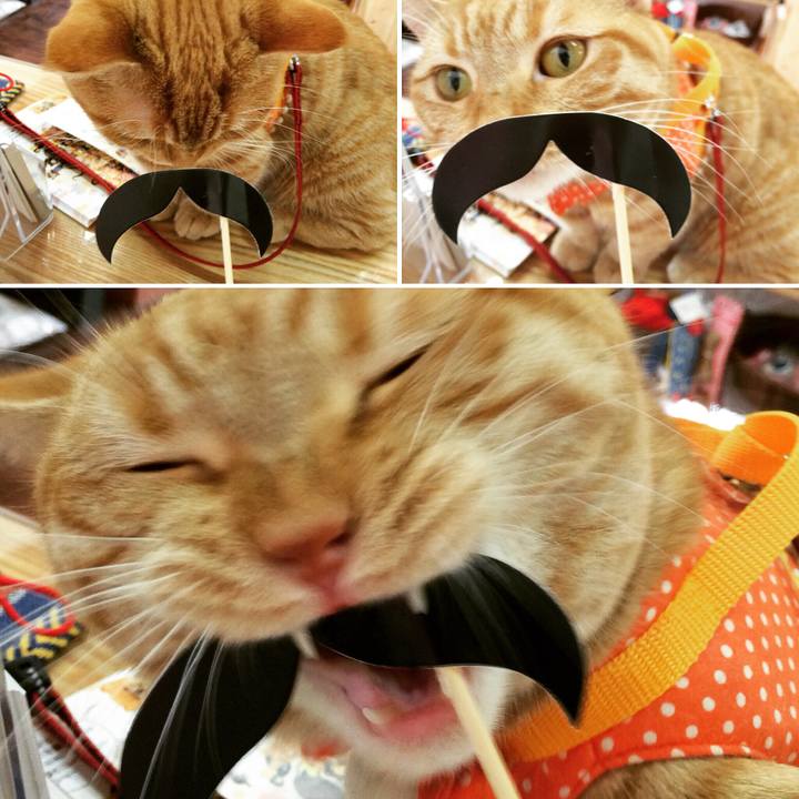 D2c7f27d 24ff 4445 887b 75469937aa86