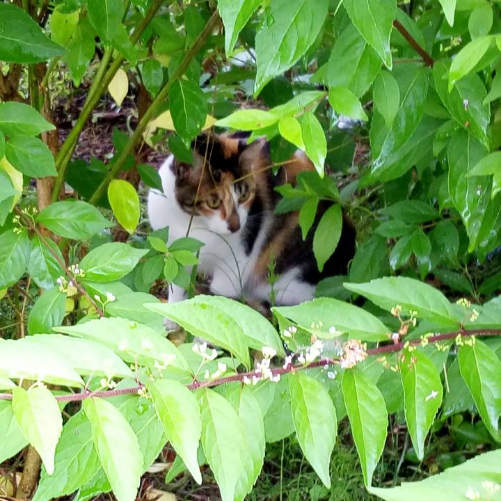 D2c84021 ec72 418e 97d1 515aa89011b5